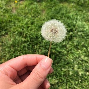 Meet your Posher, Sara